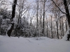 2012_12_12_winterwald-15