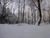 2012_12_12_winterwald-16